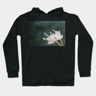 Nodding Allium Abstract Hoodie